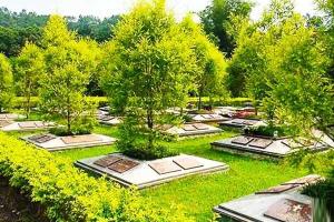 中华永久陵园树葬使用年限多少年