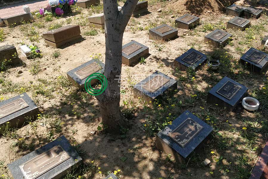天寿陵园树葬墓型