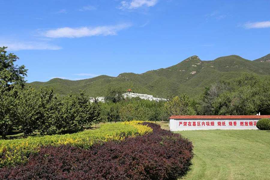 陵园环境