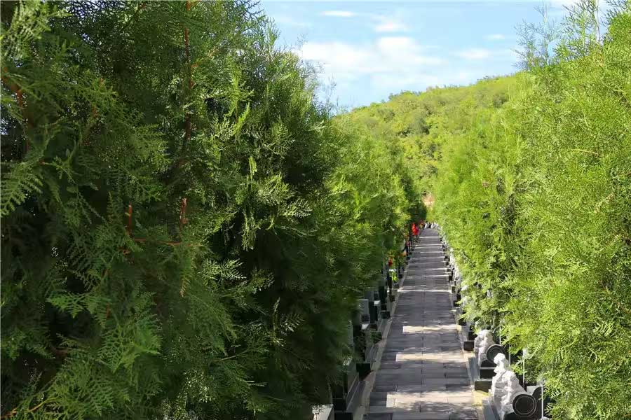 陵园环境