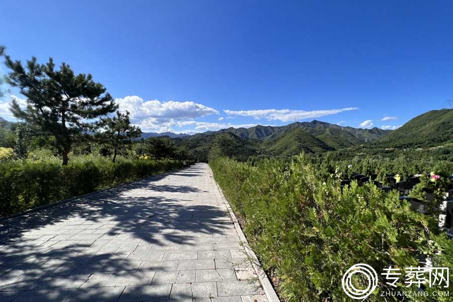 陵园环境