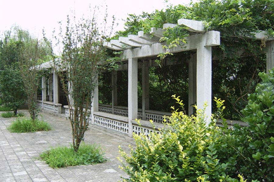 陵园环境