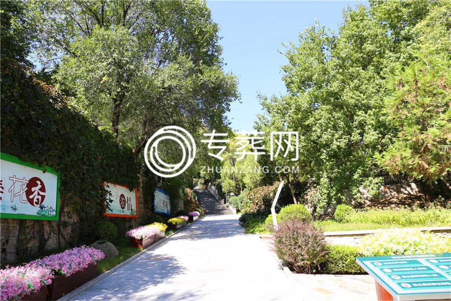 陵园环境
