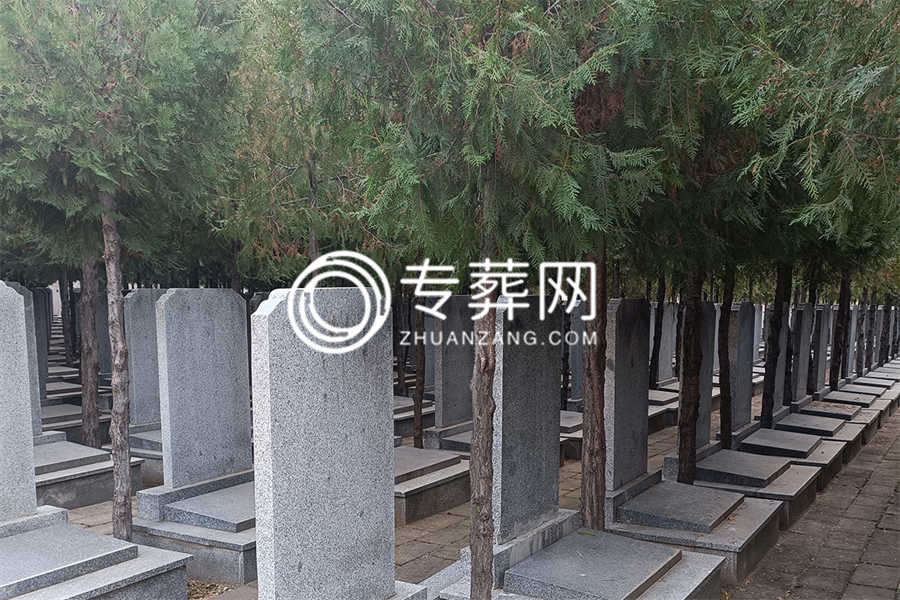 陵园环境