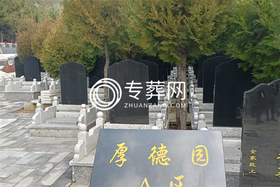 陵园环境
