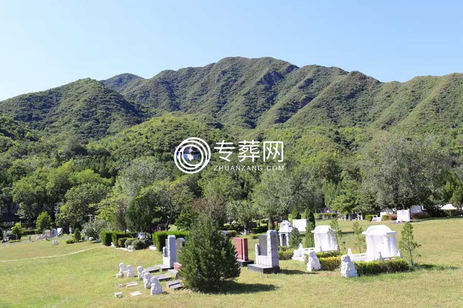 陵园环境