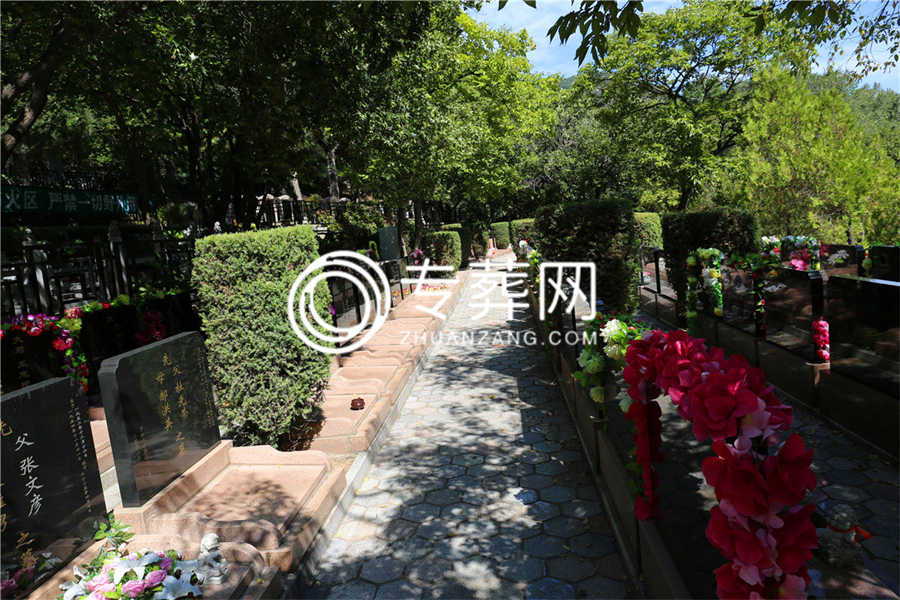 陵园环境