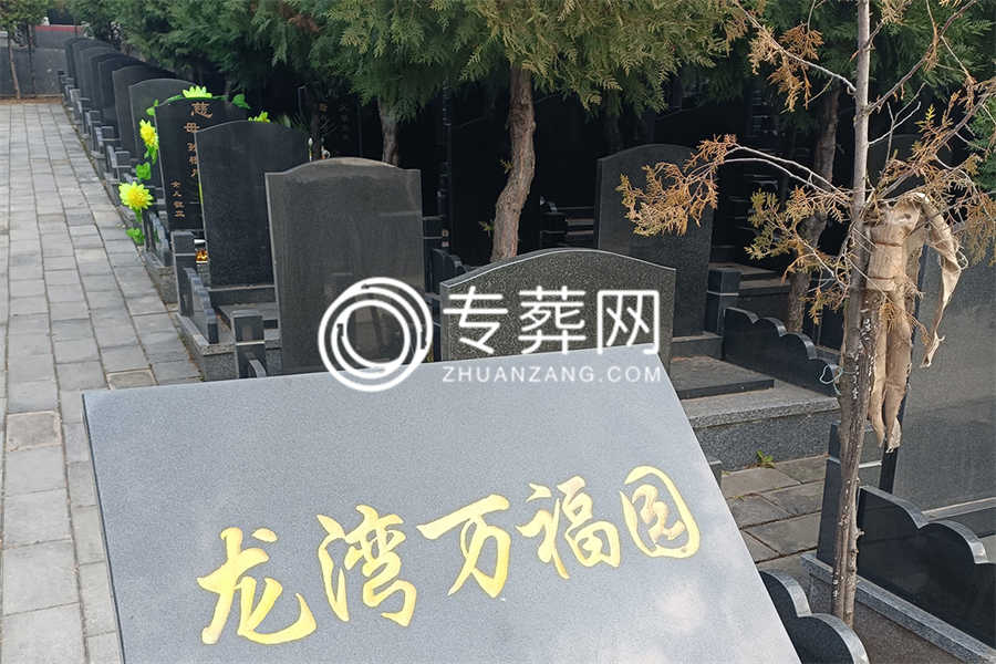 陵园环境