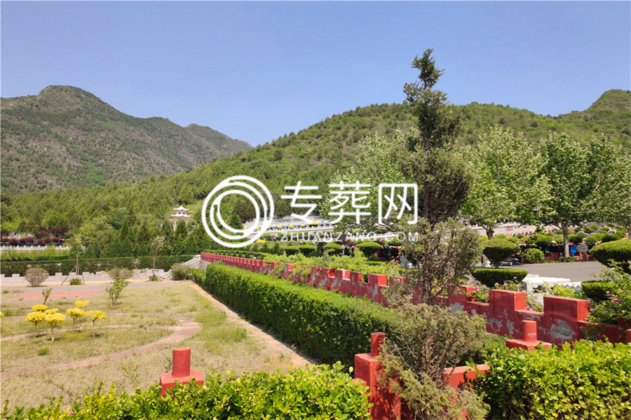 陵园环境