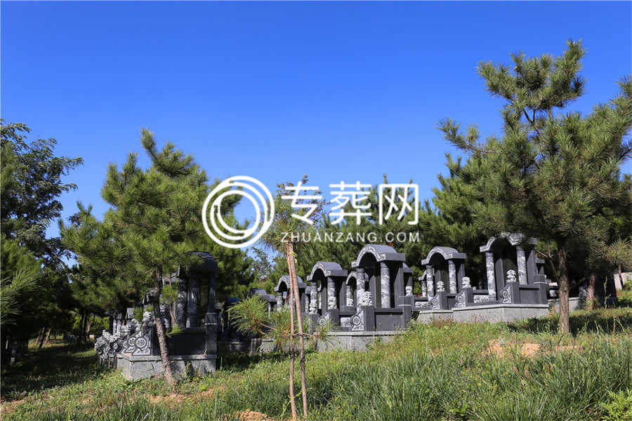 陵园环境