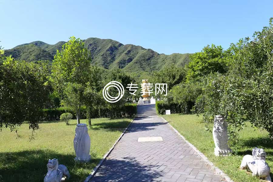 陵园环境