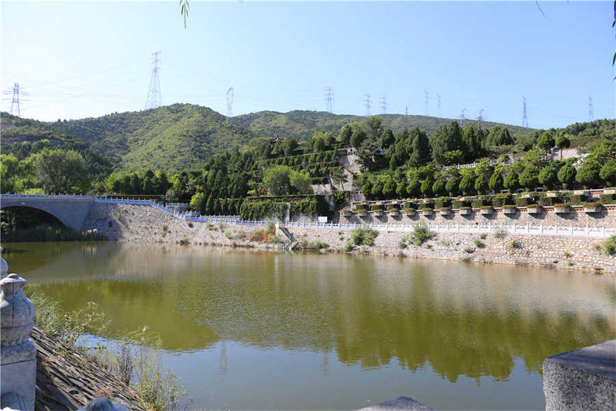 陵园环境