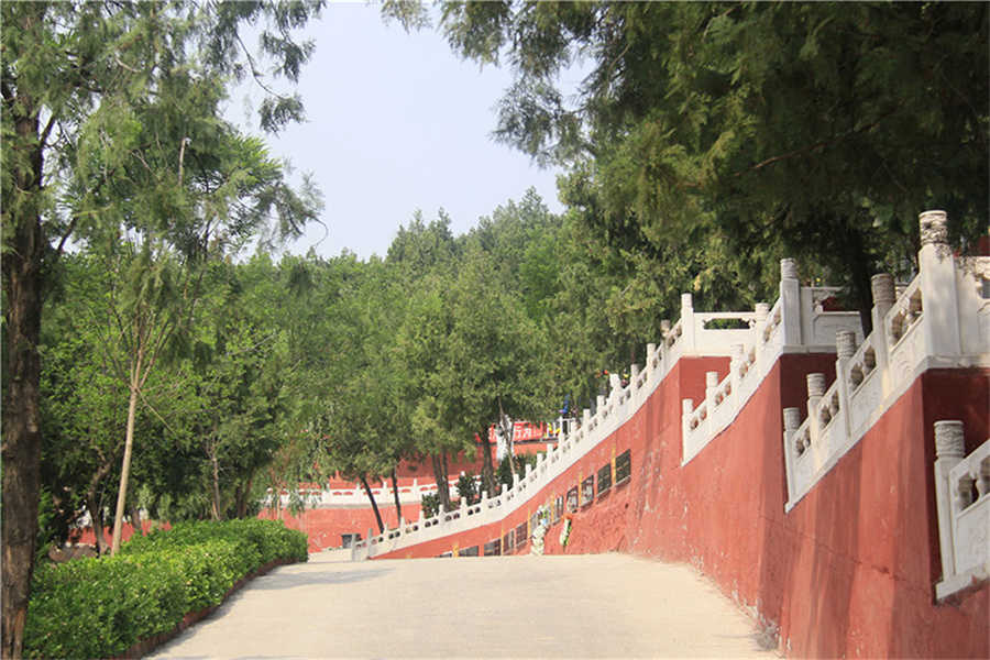 园区道路
