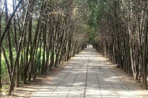 昌平华夏陵园墓地价格怎么样