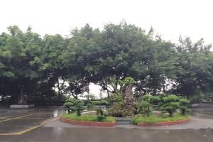 金山陵园价格怎么样
