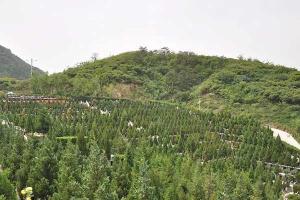 北京昌平墓地有哪些？北京昌平墓地价格一览表
