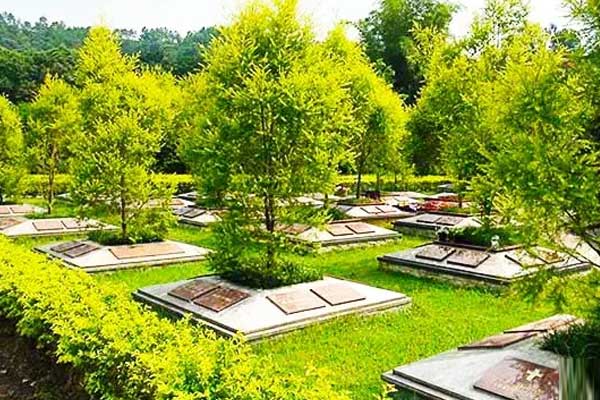 中华永久陵园树葬墓区