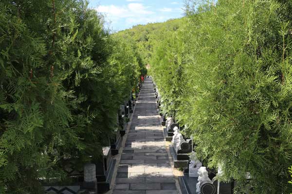 龙泉公墓立碑墓区