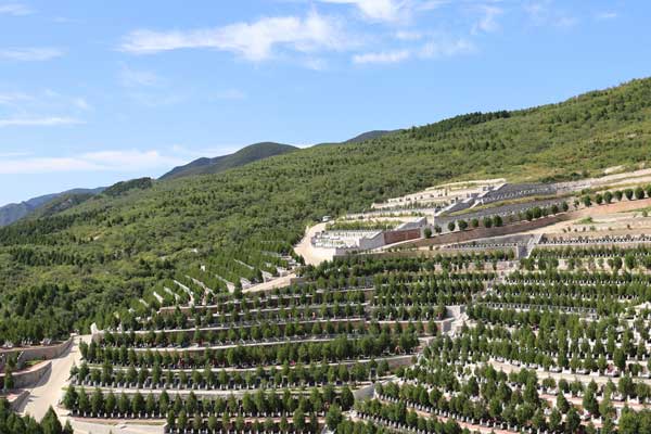 龙泉公墓立碑墓区