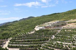 昌平龙泉公墓价格起售价是多少钱的