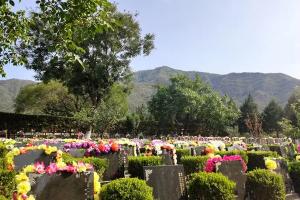 北京天山陵园墓地价格一览，最新价格表及详细费用说明