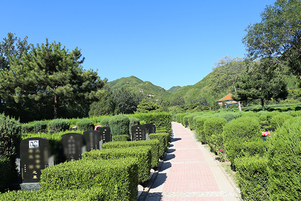 北京天寿陵园墓区环境