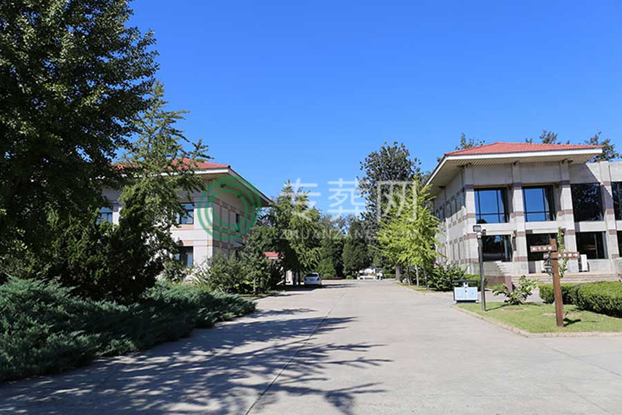 北京潮白陵园墓区