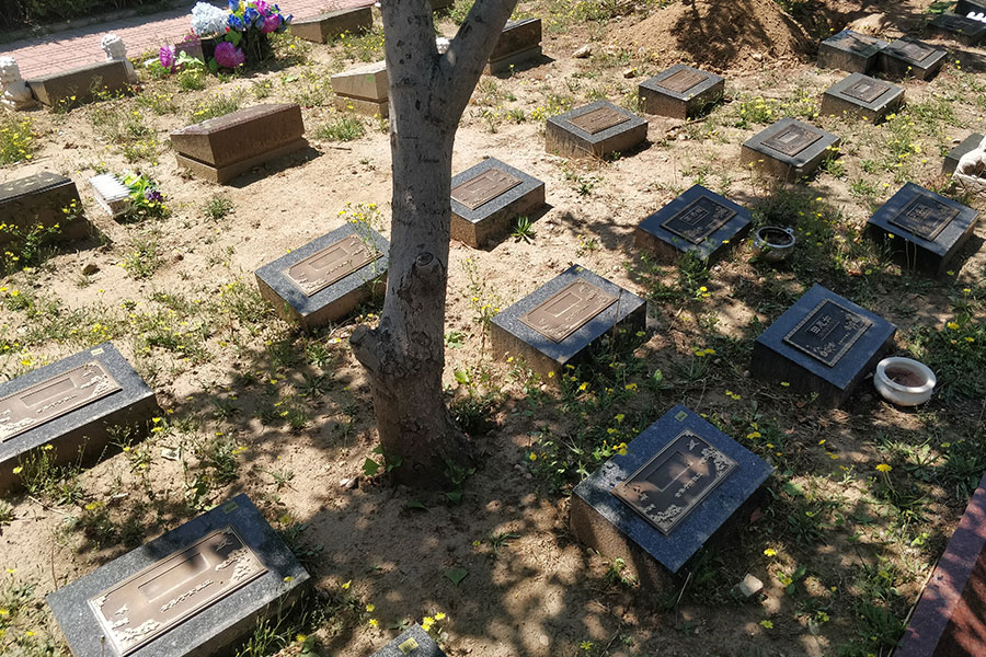 天寿陵园树葬墓型